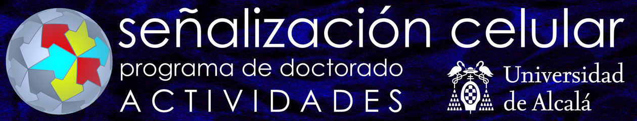 PDSC Tesis